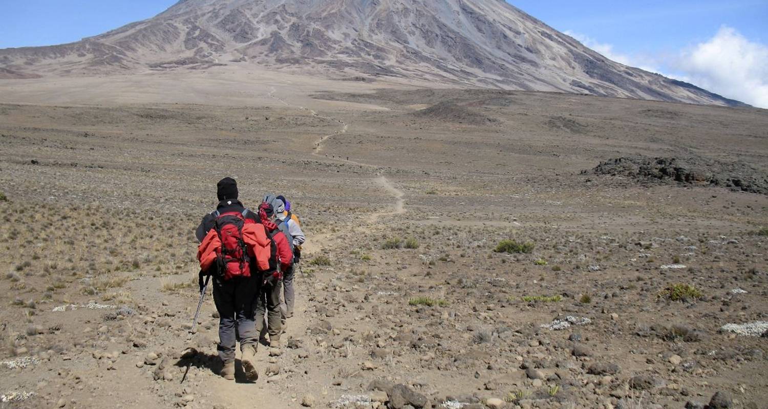 Mount Kenya and Kilimanjaro - DIAMIR Erlebnisreisen