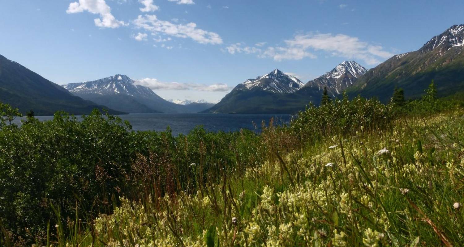 Door de wildernis van Alaska & de Yukon - DIAMIR Erlebnisreisen