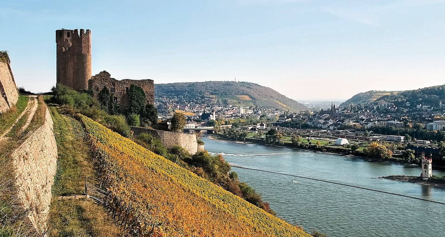 Experiencia del Rin Oberwesel 2025 - A-ROSA