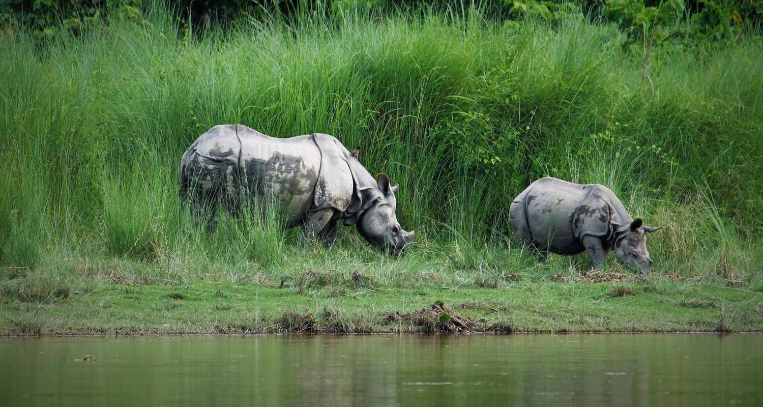 Nepal Family Tours