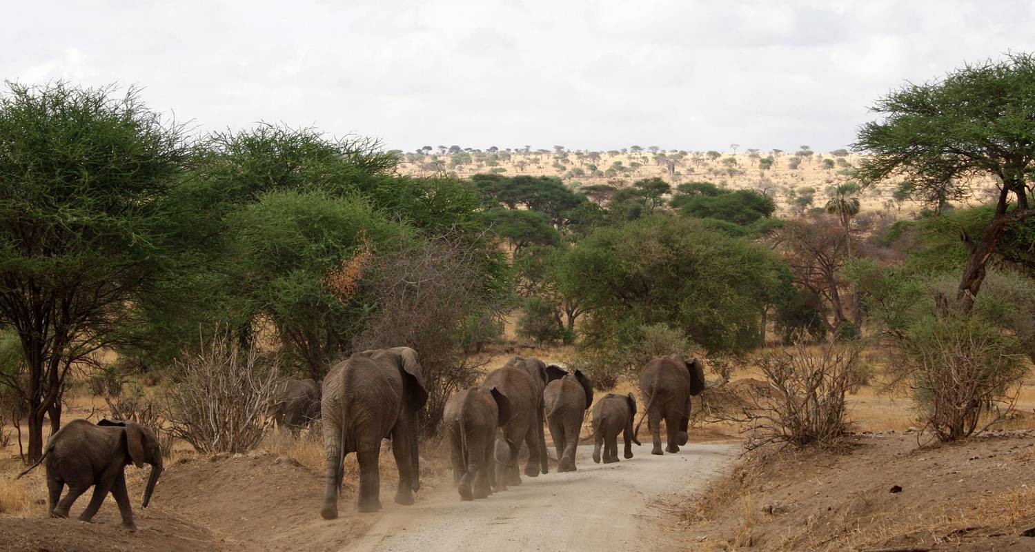 7-Day African Big Five Comfortable Trip - Lights on Africa Destinations & Safaris