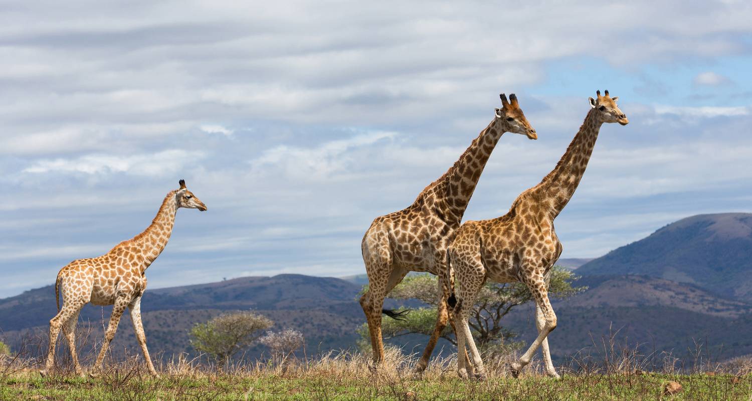 Overland Truck Tours & Trips in Northern Circuit Tanzania