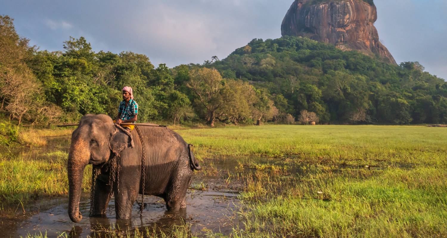 Sri Lanka: Die Enthüllung der Perle des Indischen Ozeans - Learning Journeys 