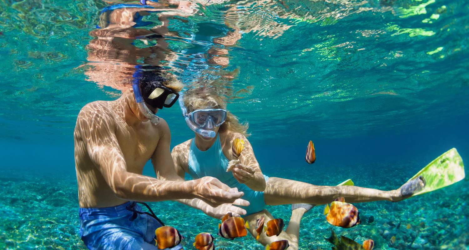 2-Week Hawaii Tour Packages