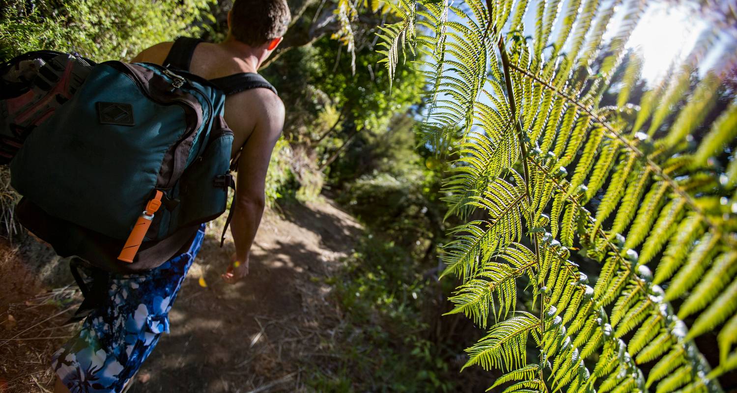 Australië en Nieuw-Zeeland: Bushwalks & Stranden - G Adventures