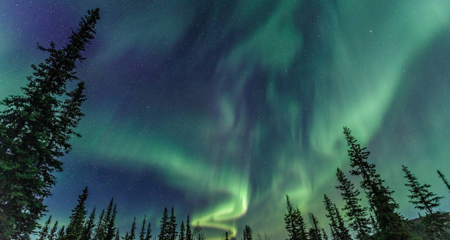 Prospecteur d'aurores boréales - The Klondike Experience 