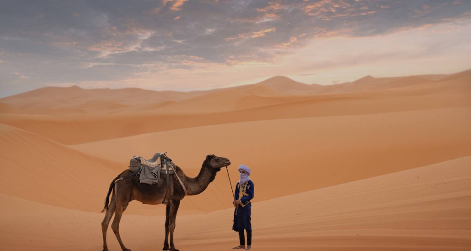 10 Days Morocco Highlights Tour - Sahara Desert and imperial cities - Desert vie 