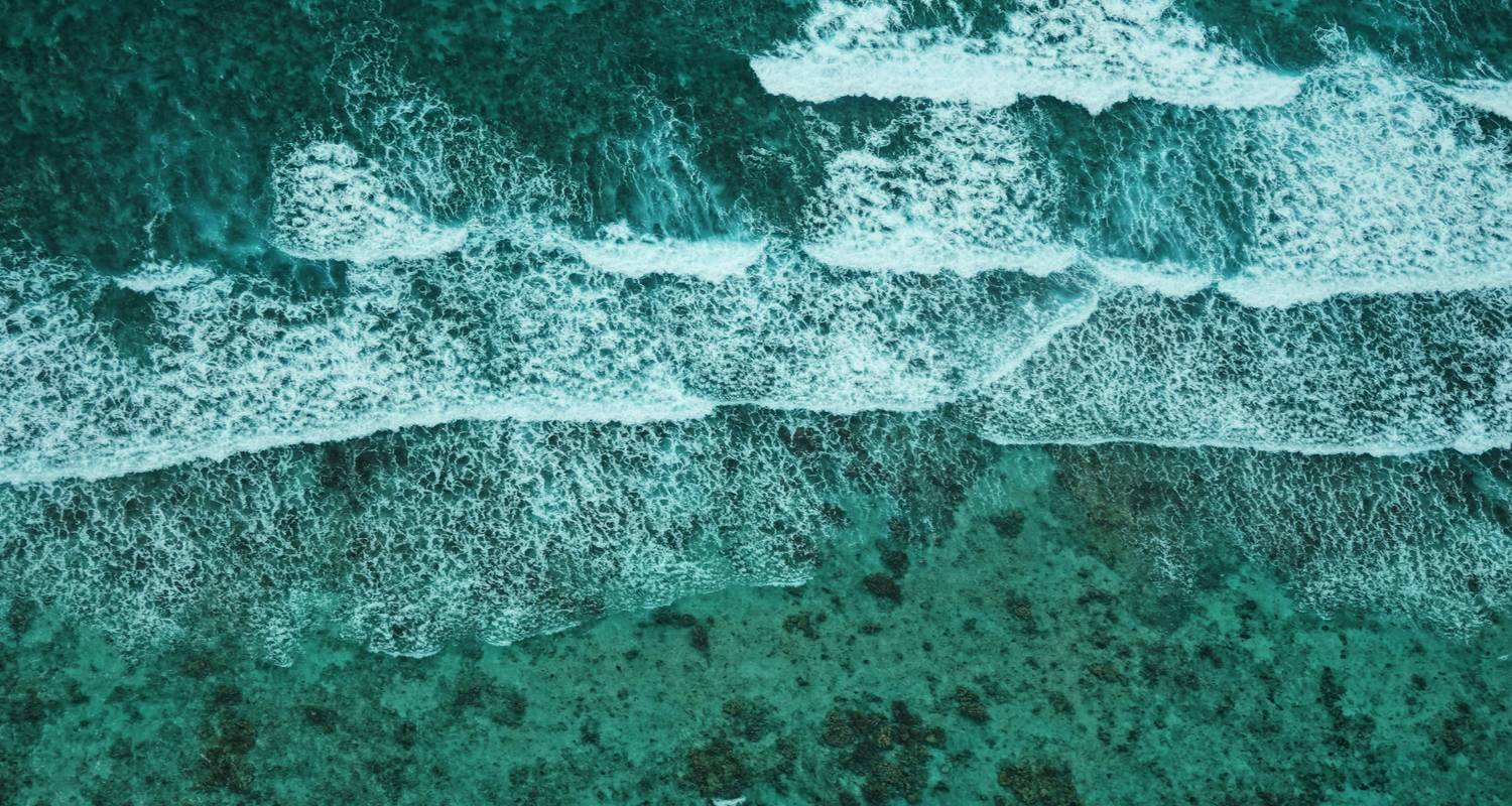 Vuelo de ida y vuelta desde Belice Internacional - Cayo Ambergris - ROEming Belize