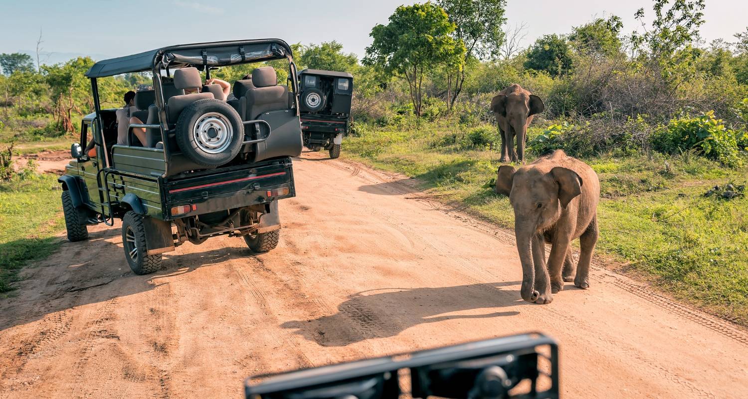 Wunder von Sri Lanka - Panoramic Tour & Travels