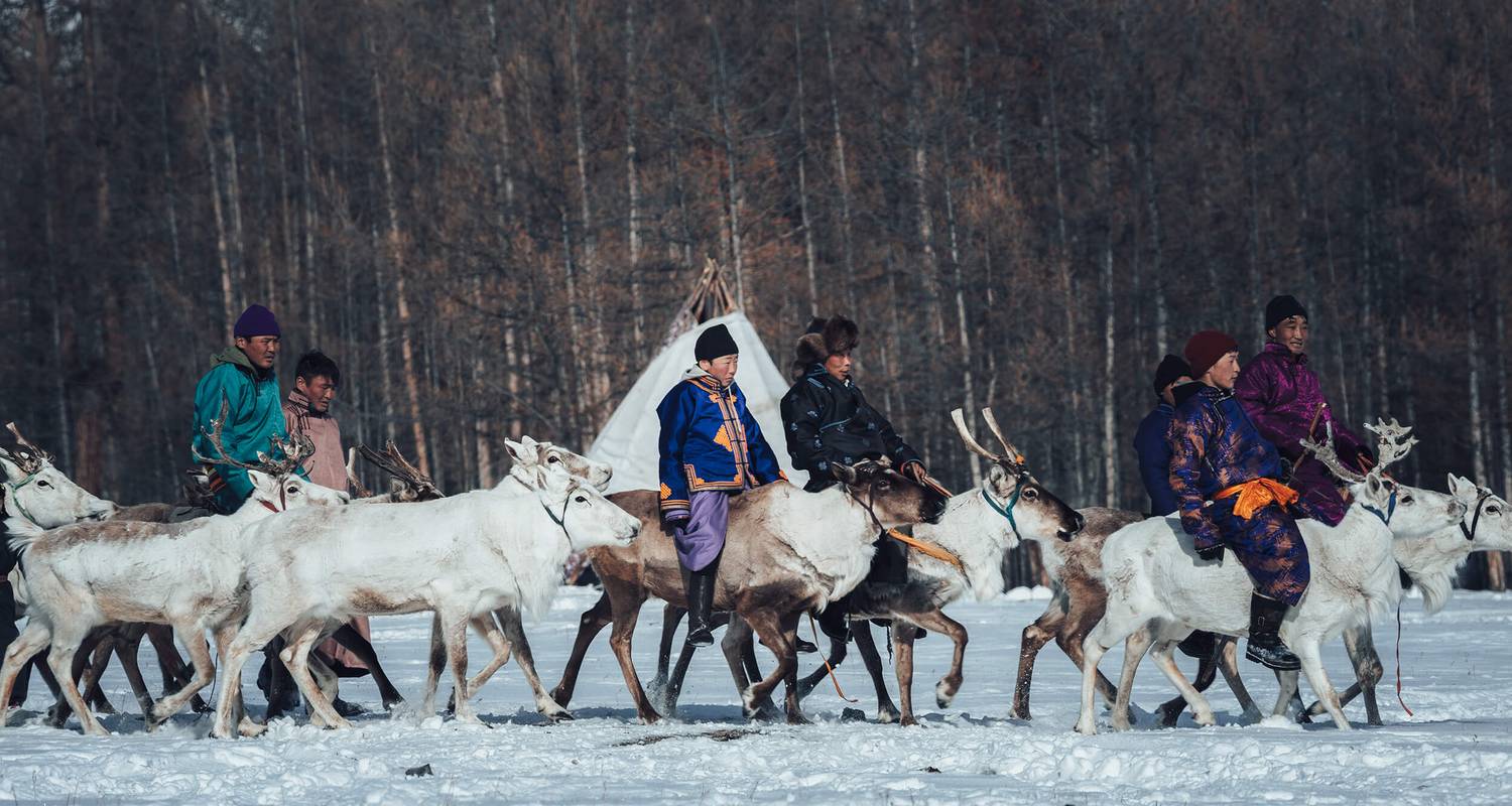 Circuits et voyages en Mongolie