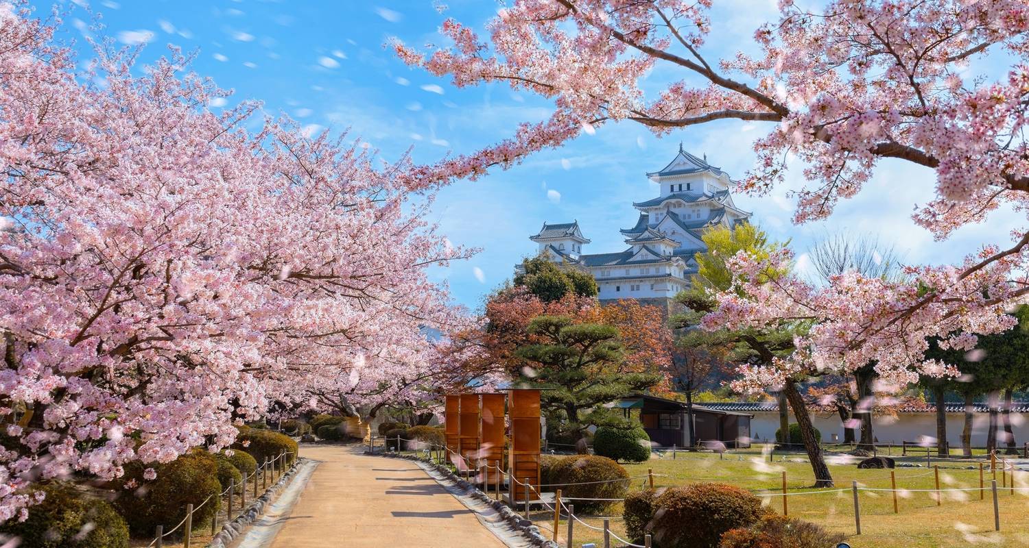 Circuits Shikoku en Octobre 2025