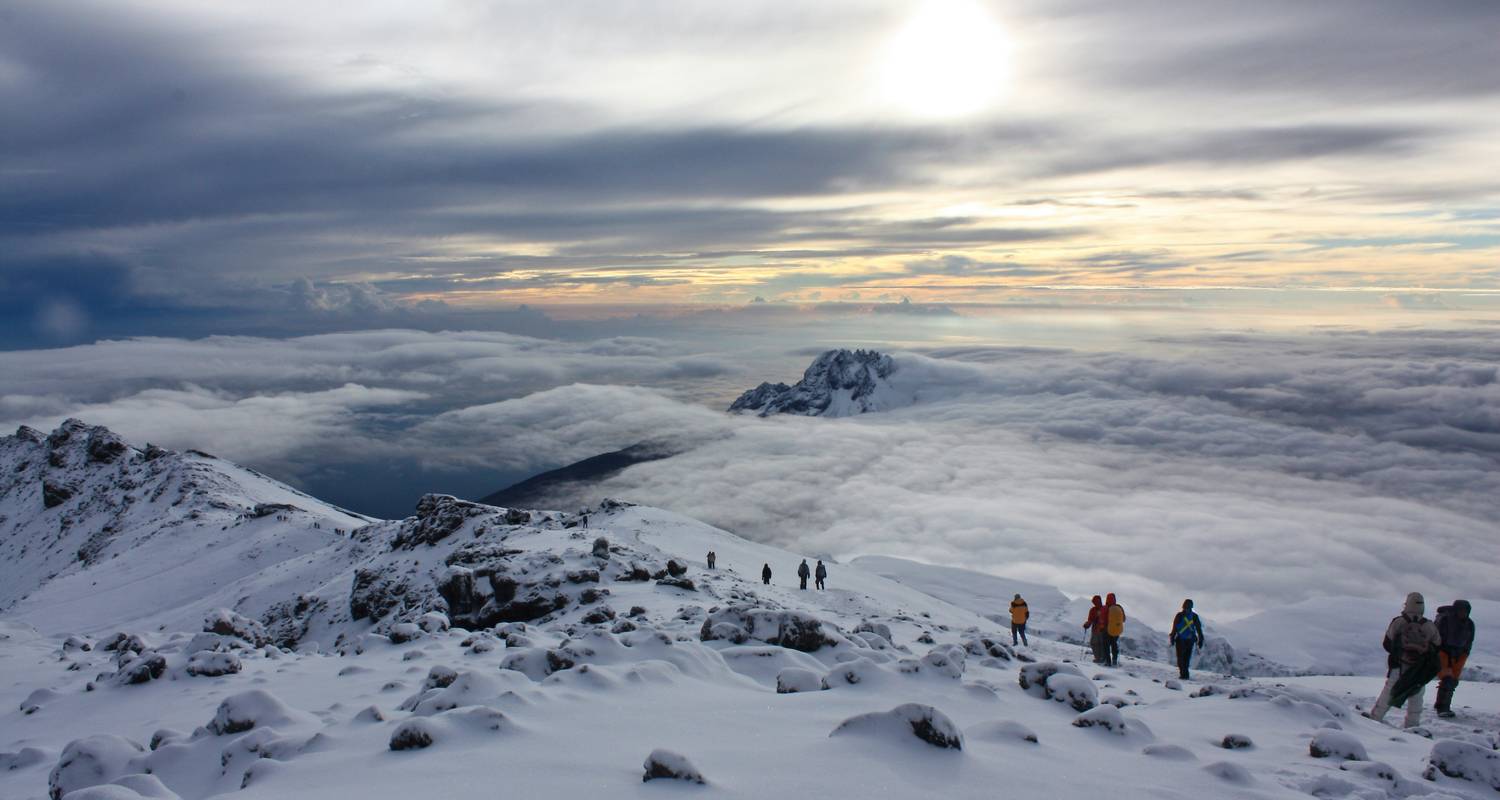 Randonnée d'une journée sur le Kilimandjaro à partir de Moshi Kilimandjaro - Route de Marangu - theKili-Guides