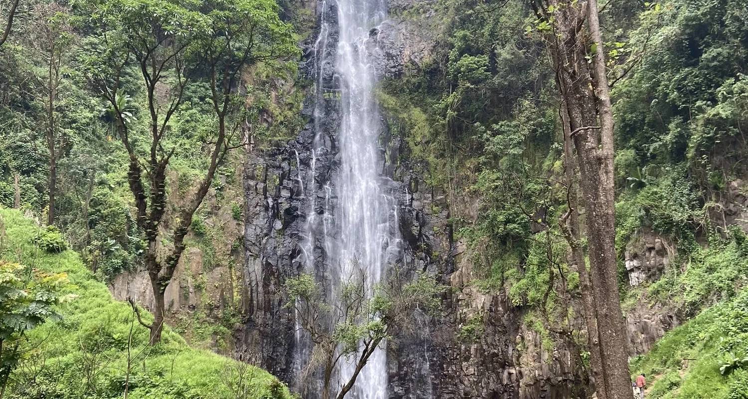 Materuni Wasserfälle und Kaffee - theKili-Guides