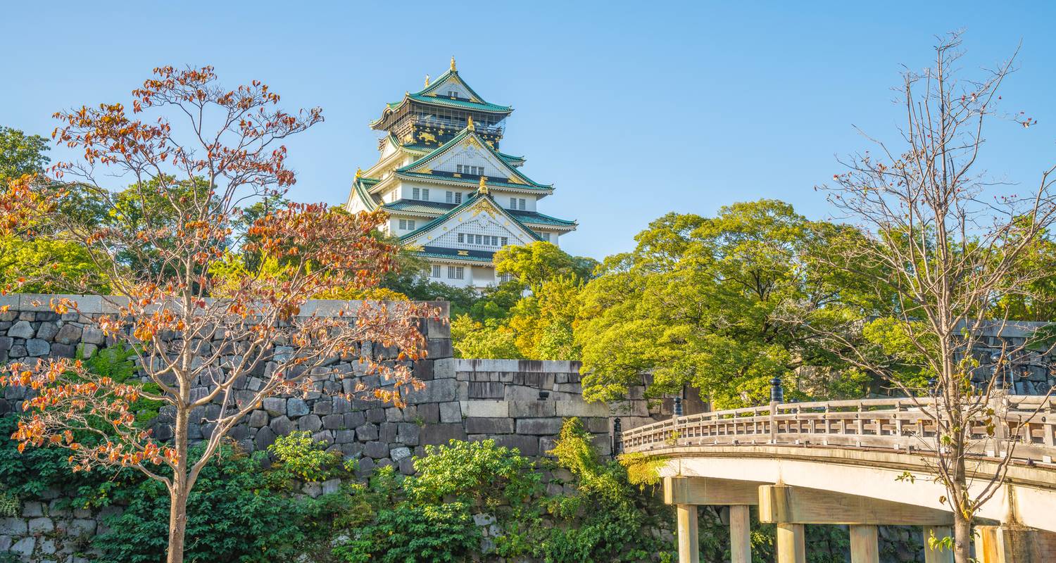 Family Tours from Osaka