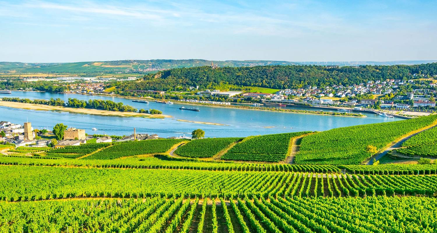 Charming Castles & Vineyards of the Rhine & Moselle 2026 - 8 Days (from Frankfurt-am-Main to Zurich) - Scenic Luxury Cruises & Tours