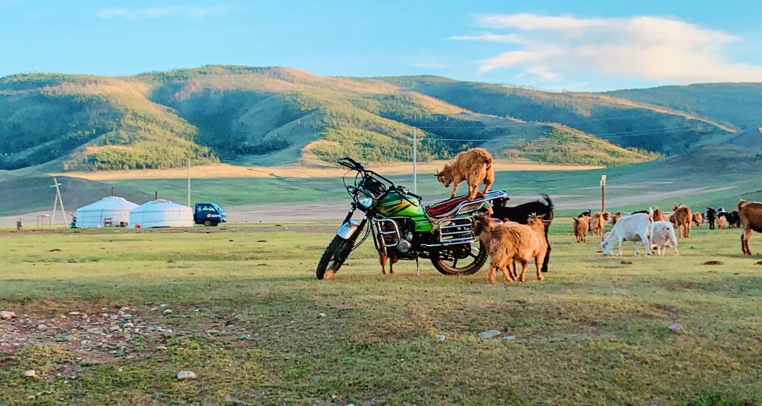 Nomadischer Lebensstil Tour in der Zentralmongolei - Tsenkher Hot Spring - TTRMongolia