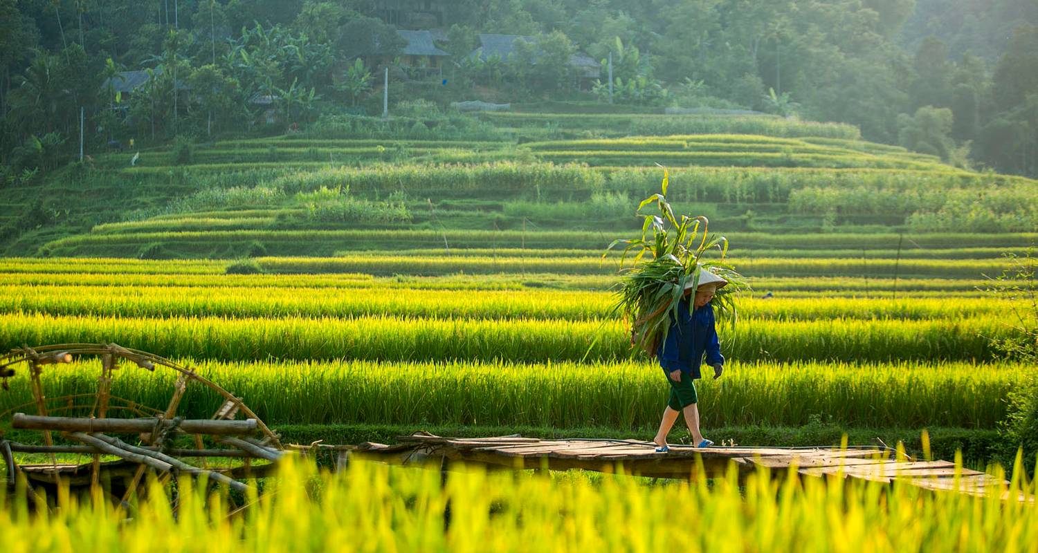 Les joyaux cachés du Vietnam révélés en 13 jours - TADY TRAVEL