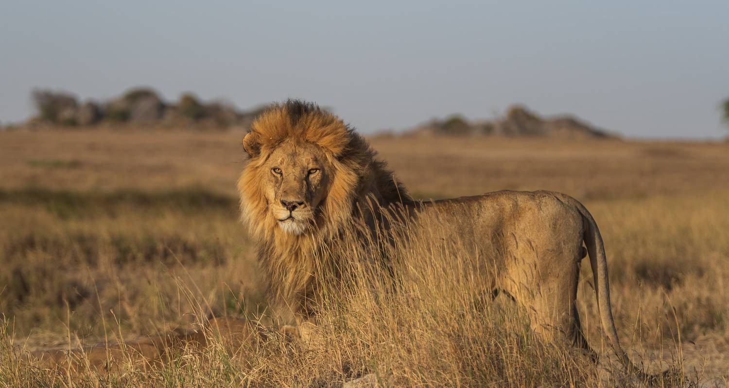 Safari photographique de 5 jours en Tanzanie - Lights on Africa Destinations & Safaris