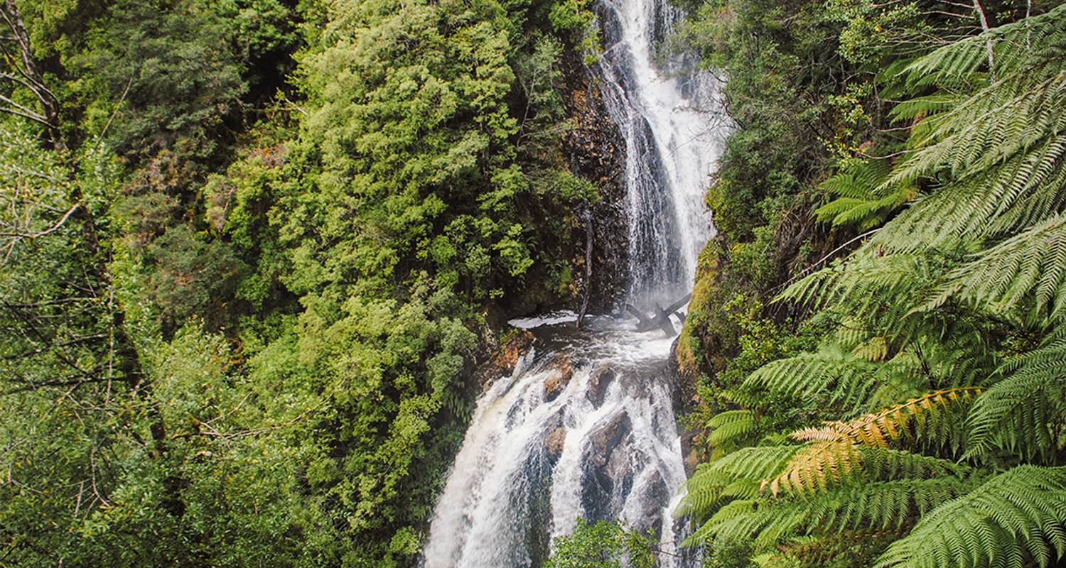 Het beste van Tasmanië (inclusief Smithton) - Intrepid Travel