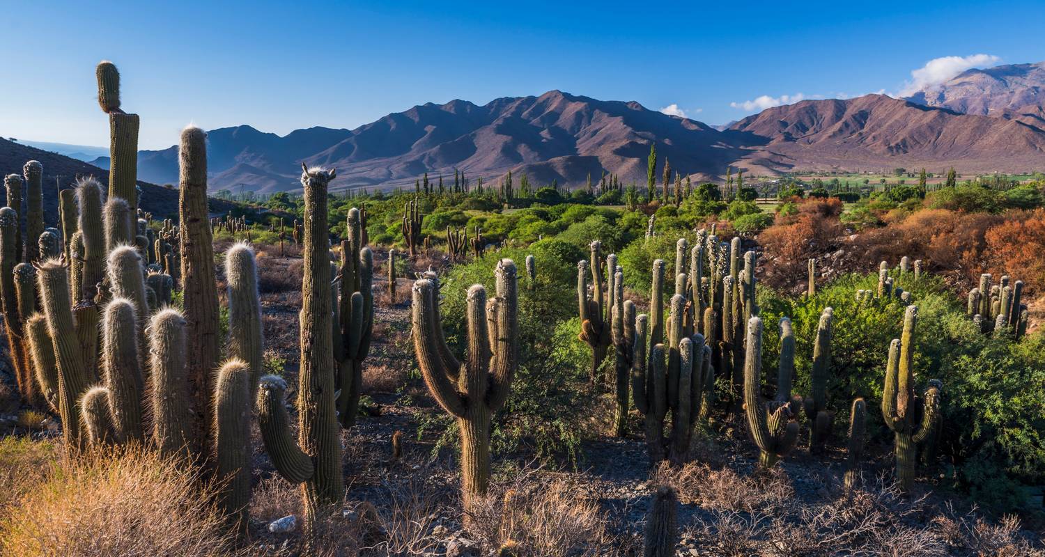 5-Días Descubre Salta y Jujuy: Humahuaca, Salinas grandes y Cafayate con Billete de Avión Opcional - Signature Tours