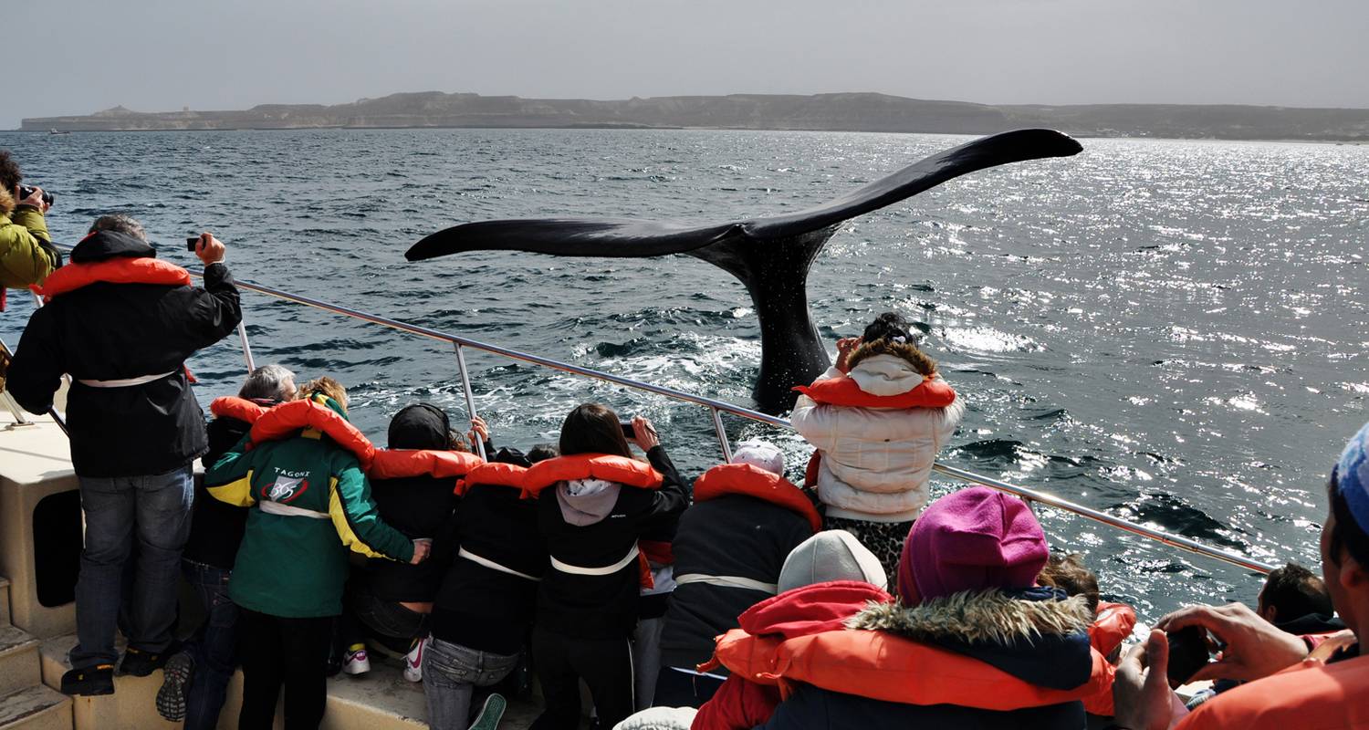 3 dagen Puerto Madryn: Valdes Peninsula Tour en Walvissen kijken - Signature Tours