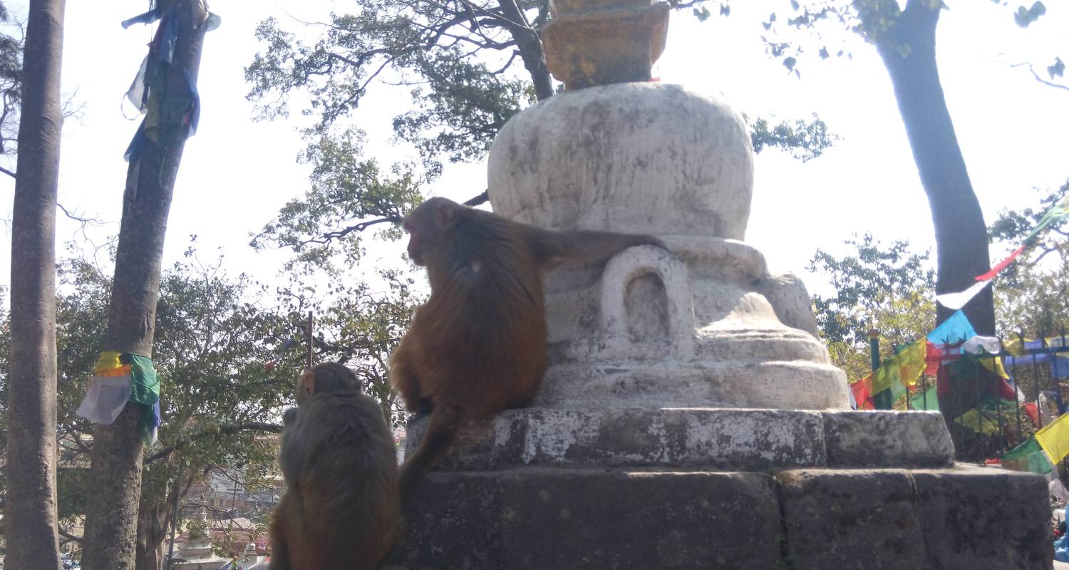 Circuito Multiaventura Katmandú Nagarkot Lumbini Pokhara Poonhill Trekking - Amazing Authentic Treks 