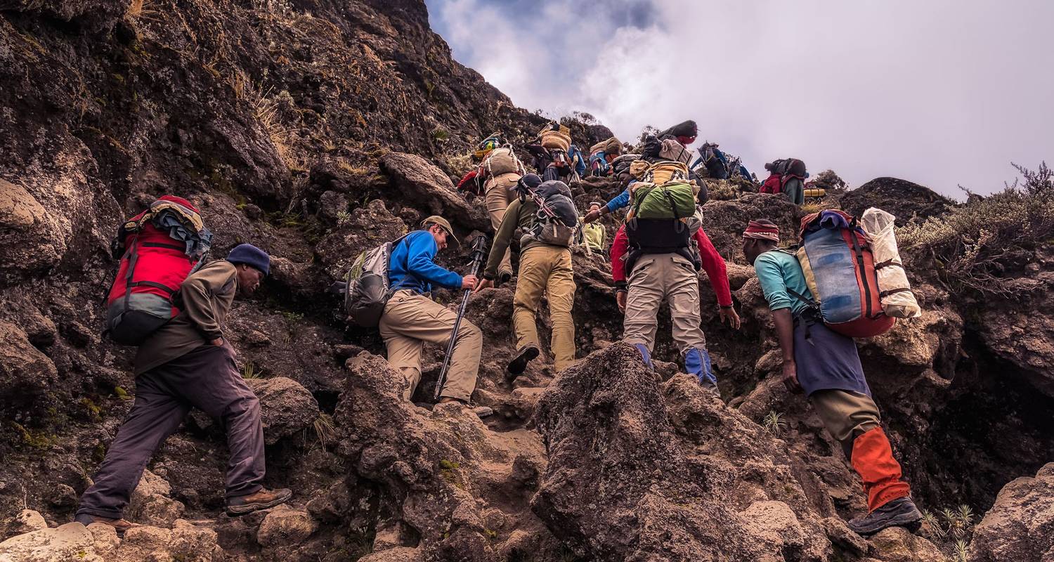 Trekking de 9 días por la Ruta Londorosi del Kilimanjaro - Nature Safari