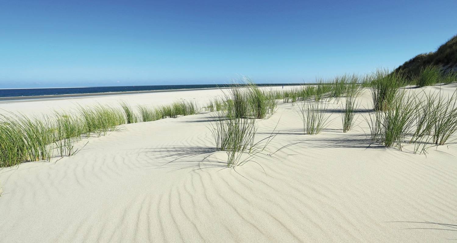 Oost-Friesland Inselhupfen Deluxe - DERTOUR