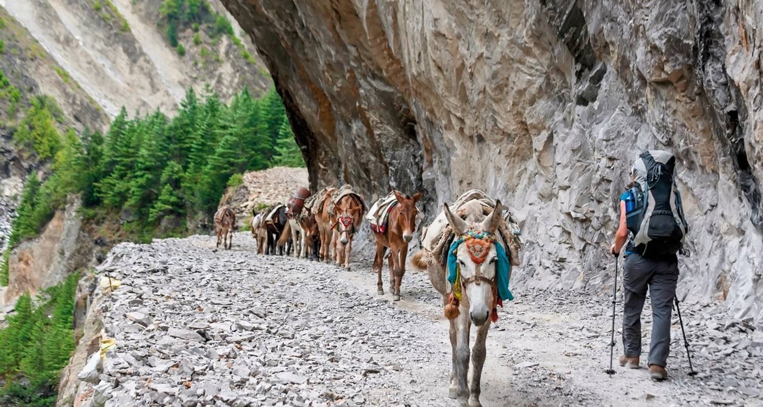 Annapurna Trek naar Poon Hill - DERTOUR