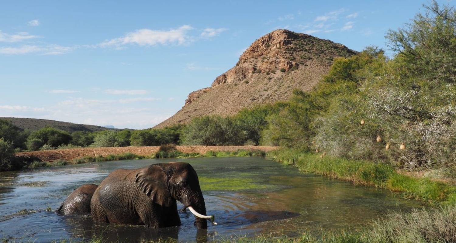 Afrique du Sud Deluxe - DIAMIR Erlebnisreisen