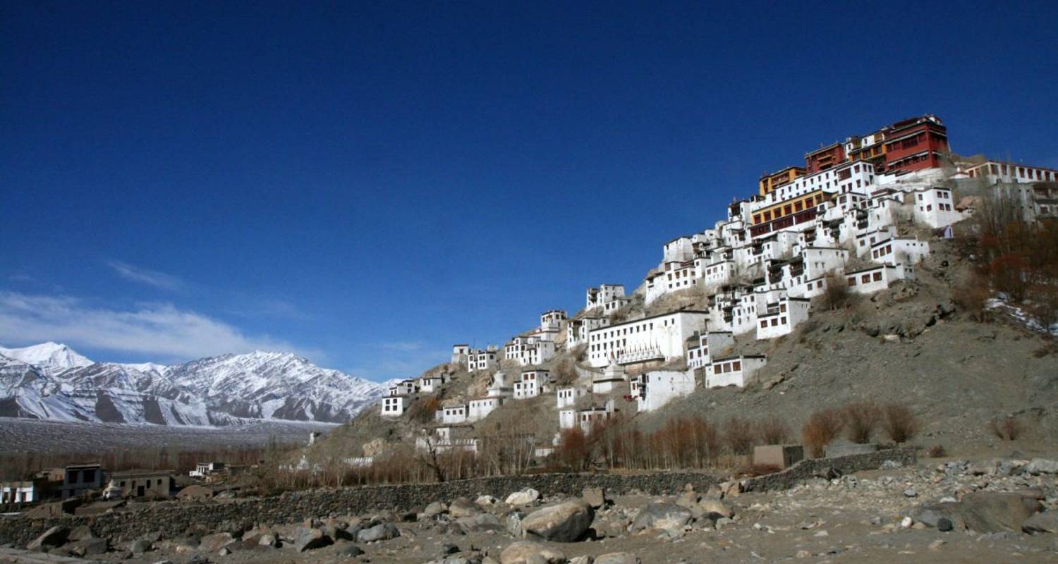 Losar in Ladakh: Nieuwjaarsviering op het dak van de wereld - DIAMIR Erlebnisreisen