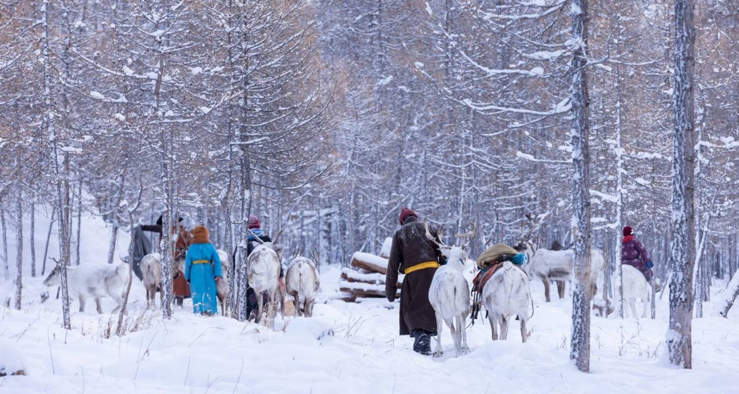 Winter bei den Rentiernomaden im Land der goldenen Sonne - DIAMIR Erlebnisreisen