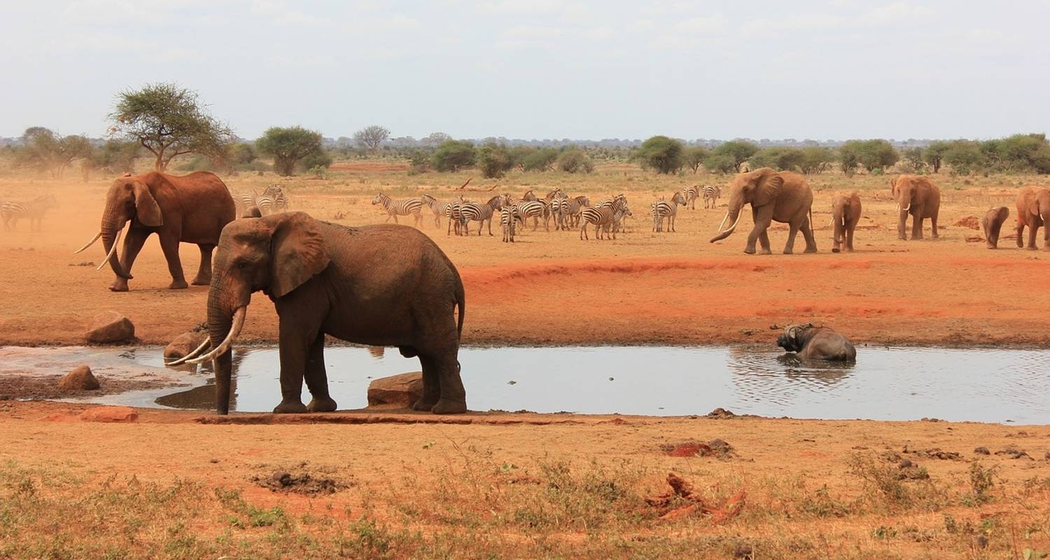 TSAVO EAST NATIONAL PARK DAY TRIP - Grey Impala Safaris