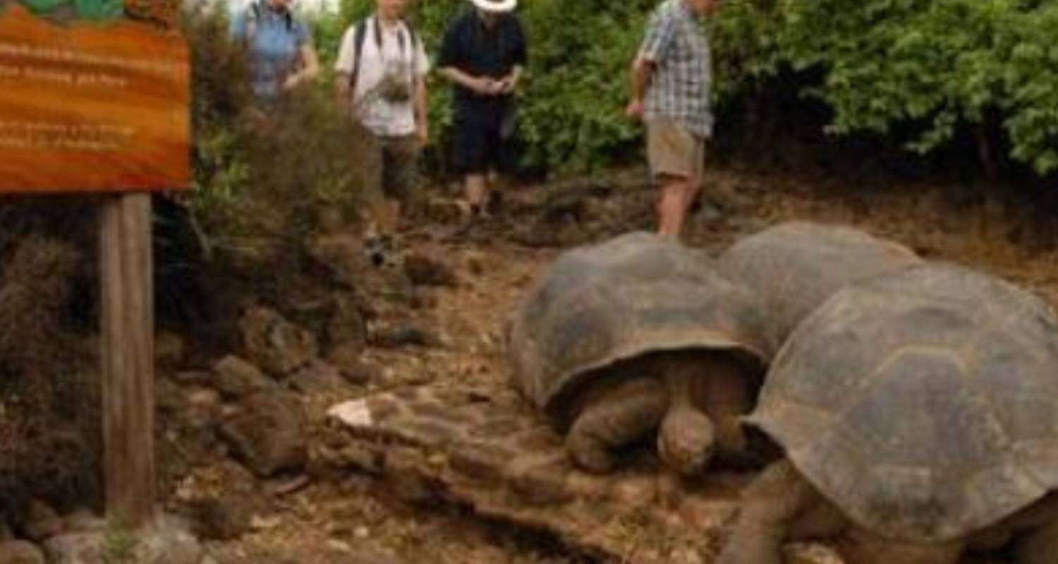 Aventure complète aux Galápagos 3 îles - 10 jours - Gulliver Expeditions