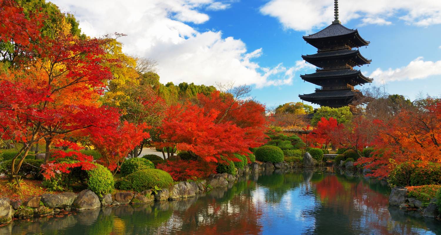 10 Daagse Japan Herfst Familietour met Tiener (privégids & chauffeur） - UME Travel Co. Ltd