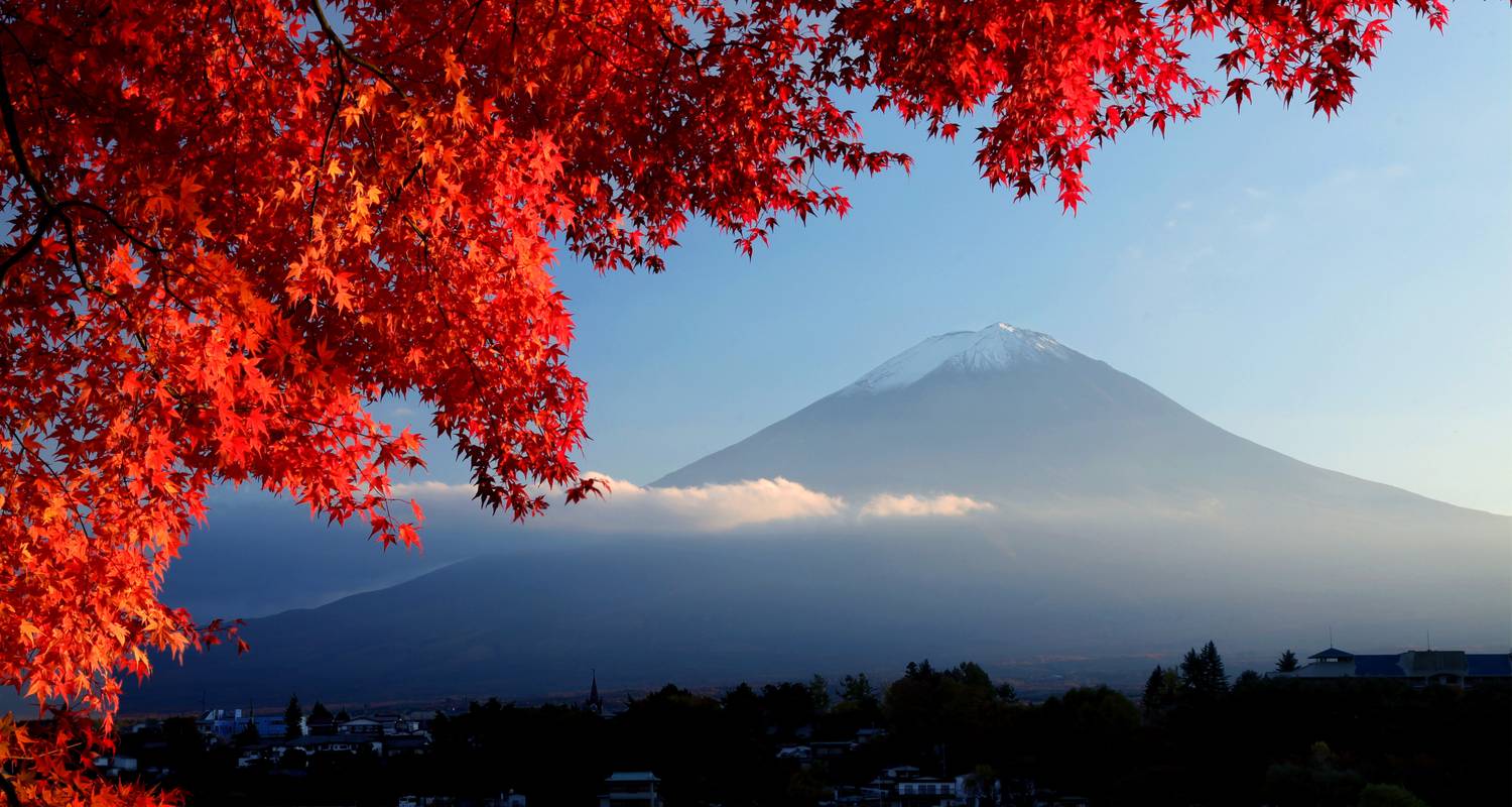 11Días de Luna de Miel: Explorando Juntos la Belleza Otoñal de Japón (guía y conductor privados） - UME Travel Co. Ltd