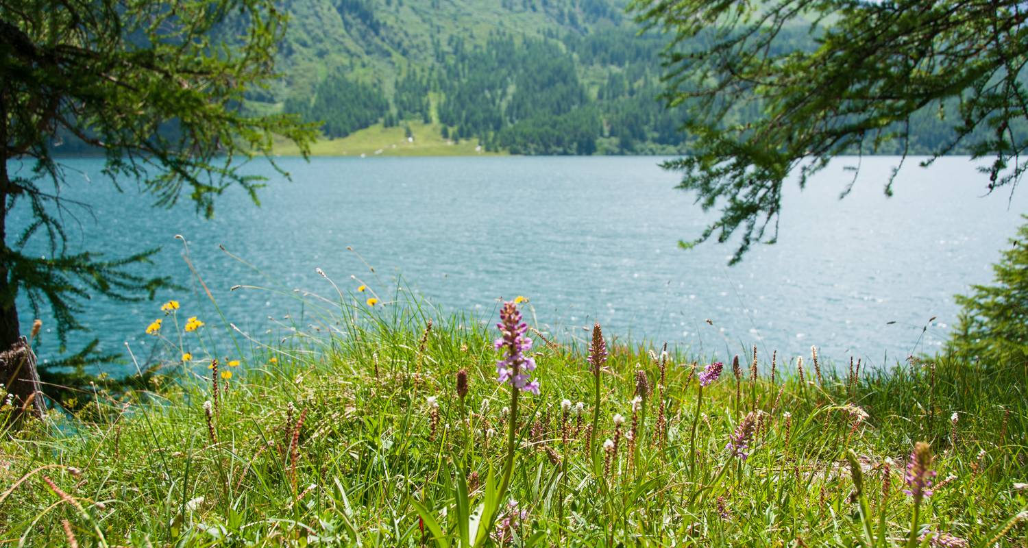 Inn Cycle Path from St. Moritz (Maloja Pass) to Innsbruck - 6 days