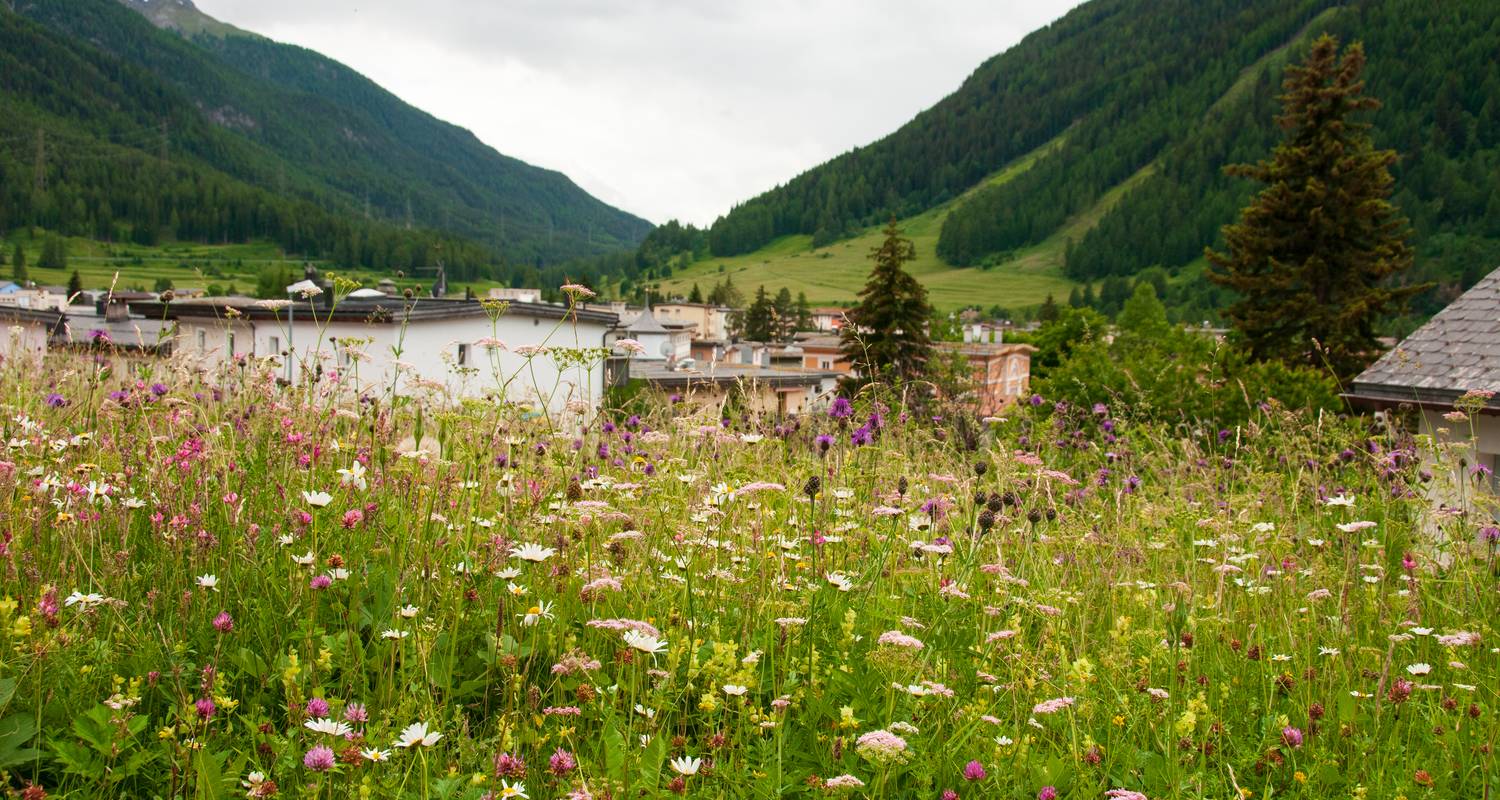 Inn Cycle Path from St. Moritz (Maloja Pass) to Innsbruck - 6 days