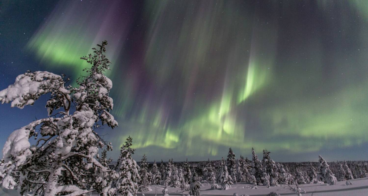 Saariselkä à la carte - V.O.S – Vision of Scandinavia