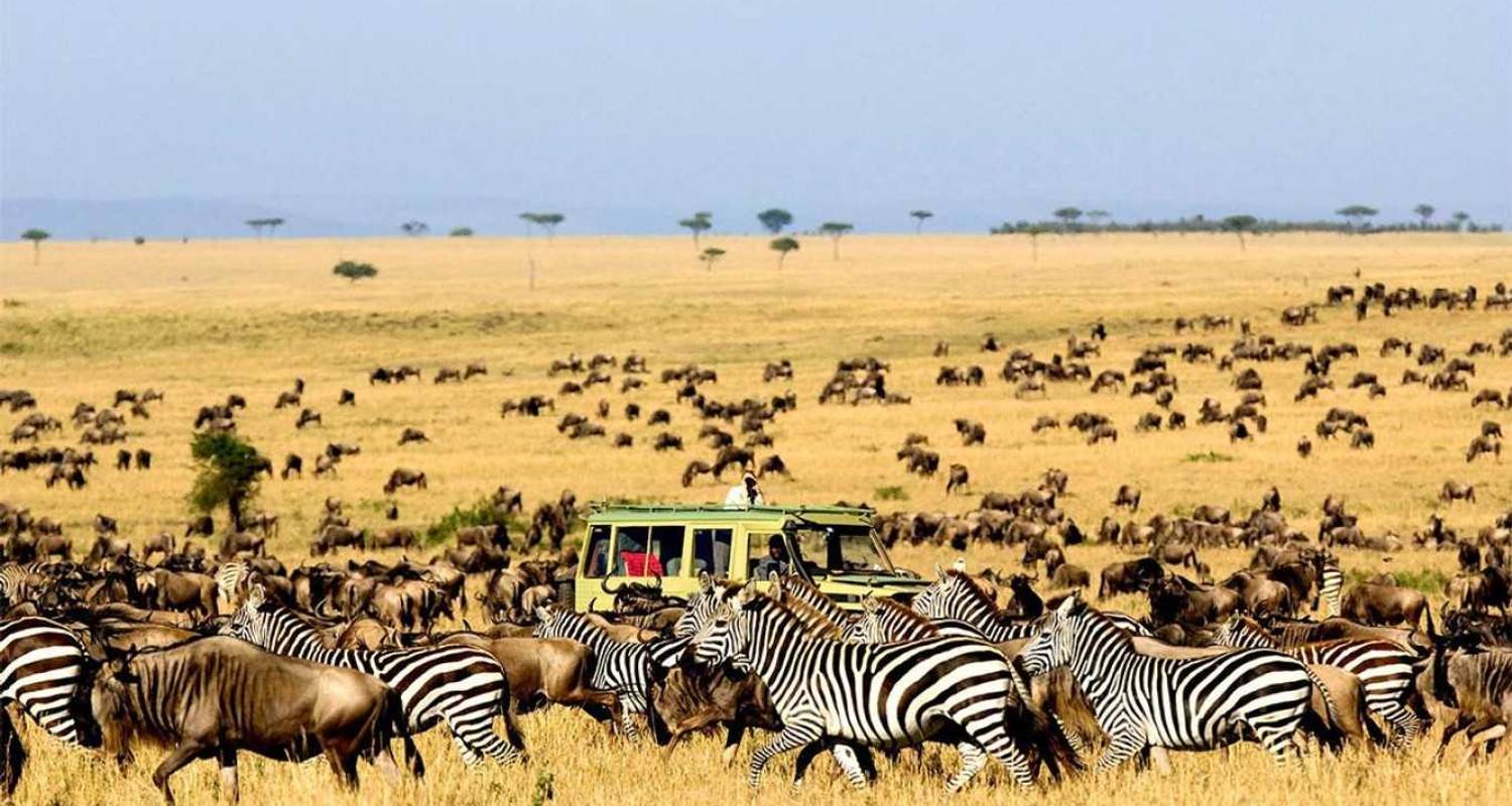 Voyage de luxe de 12 jours au Kenya et en Tanzanie - Privé - Seven Wonders Safaris