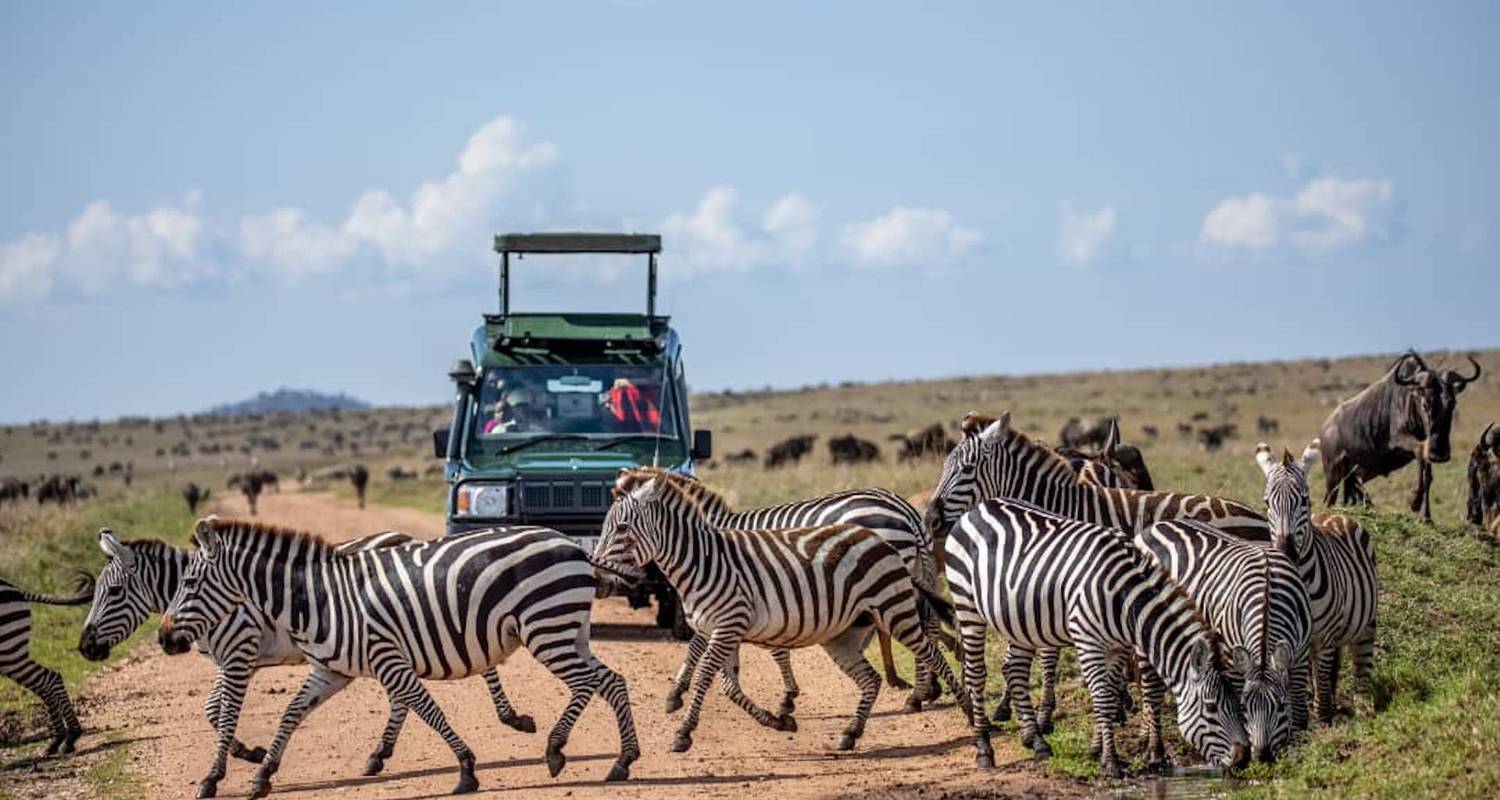 Nairobi : 10 Days Maasai Mara Big Five Super Luxury Flying Safari - Nature Safari