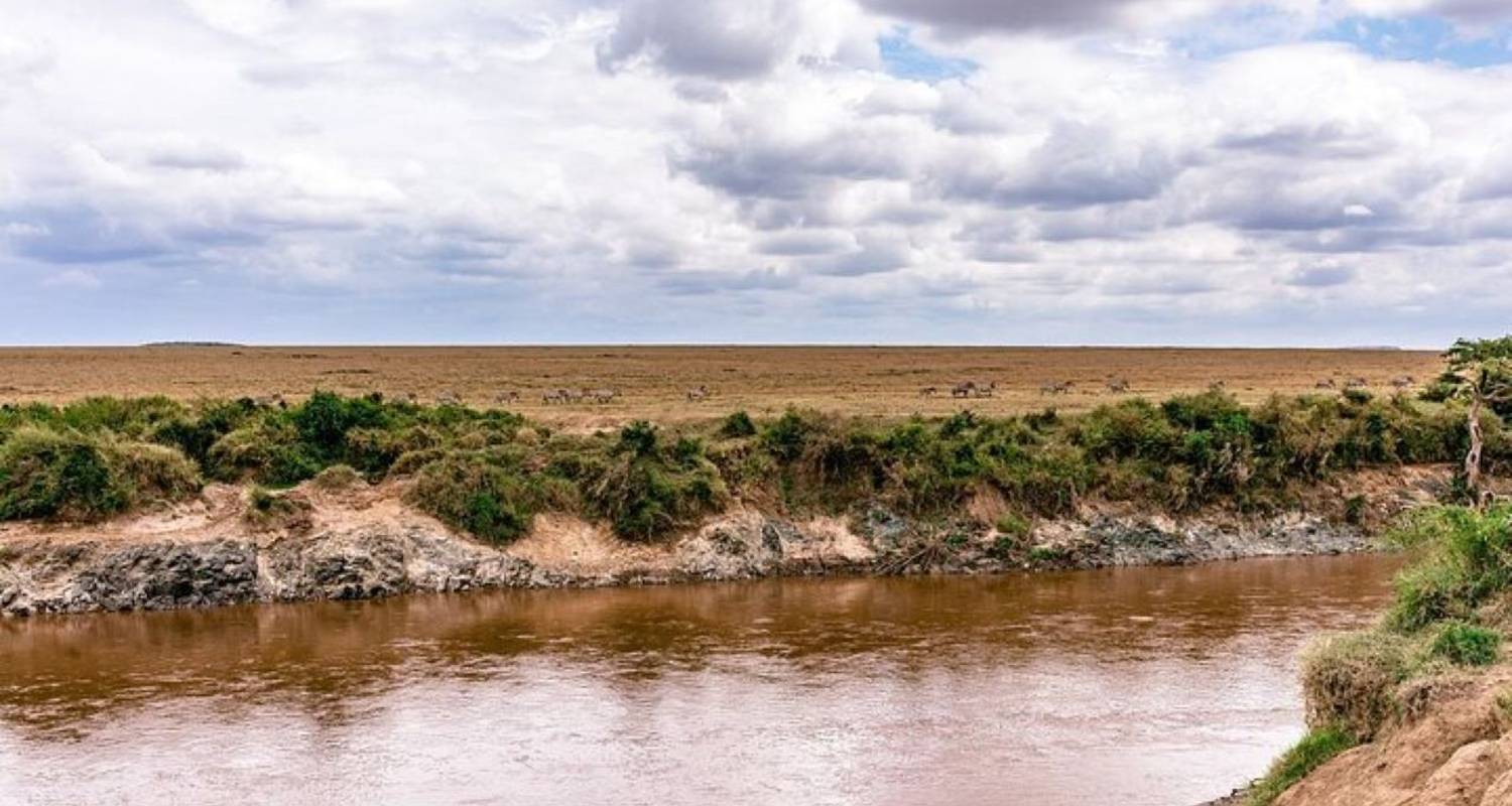 7 jours et 6 nuits de safari en petit groupe avec hébergement amélioré dans les parcs nationaux du Masai Mara, du lac Nakuru, du lac Naivasha /Hell's Gate et d'Amboseli - Perfect Safari Africa tours and safaris