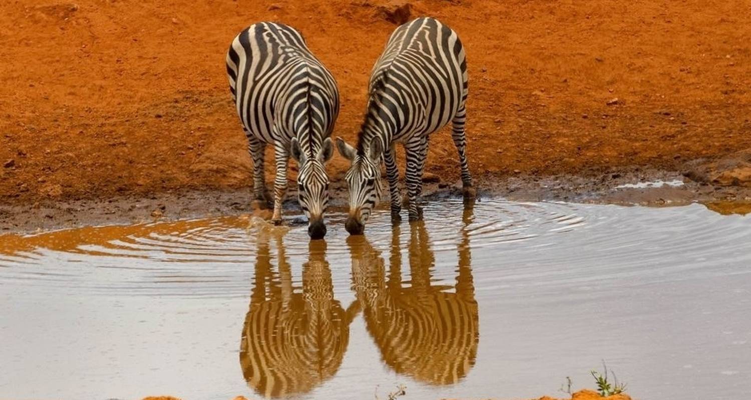 Kenya : Safari de luxe exceptionnel de 8 jours pour la faune et la flore - Jill Travel