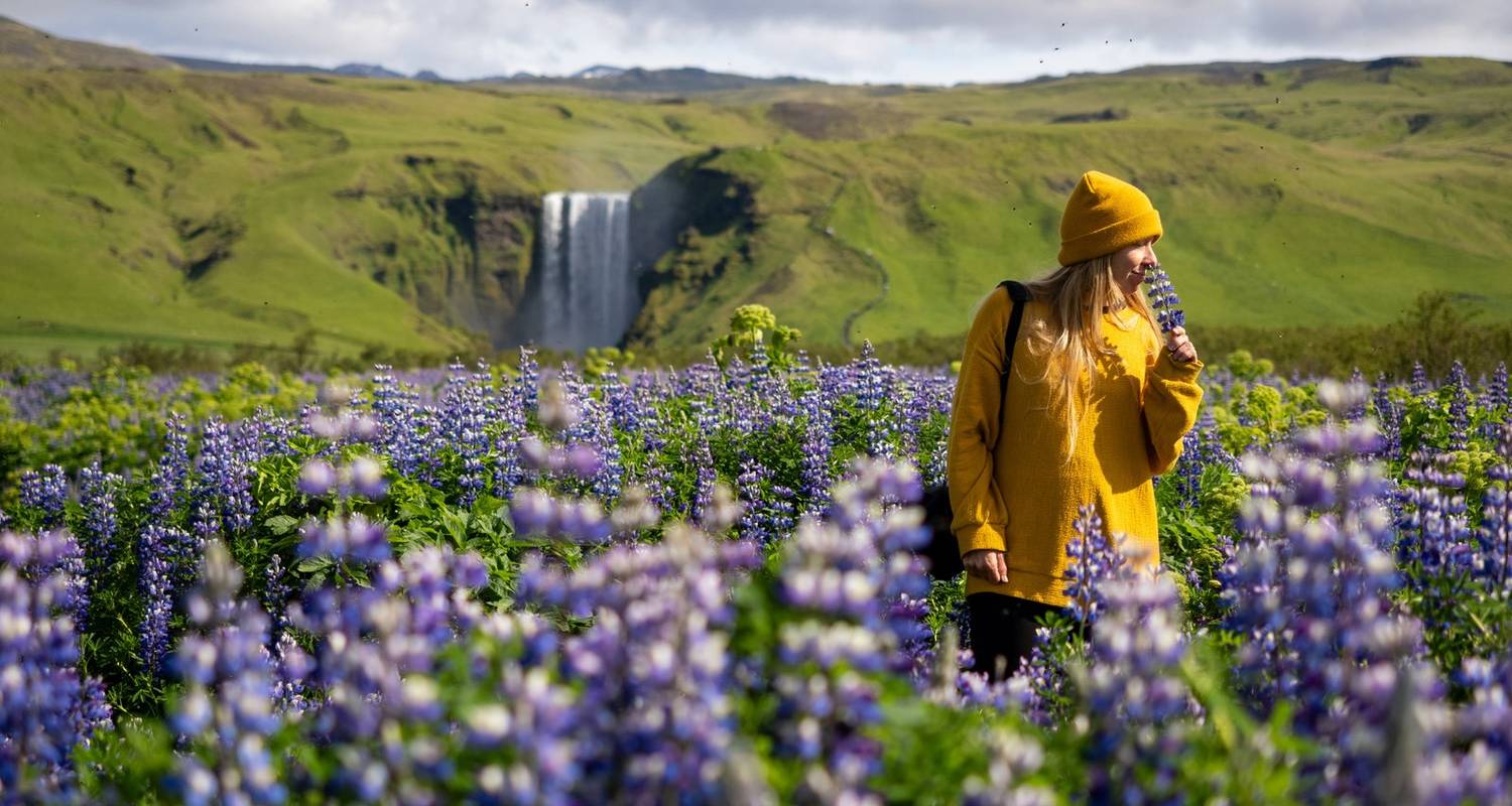 5-Day Small Group Journey Around Iceland