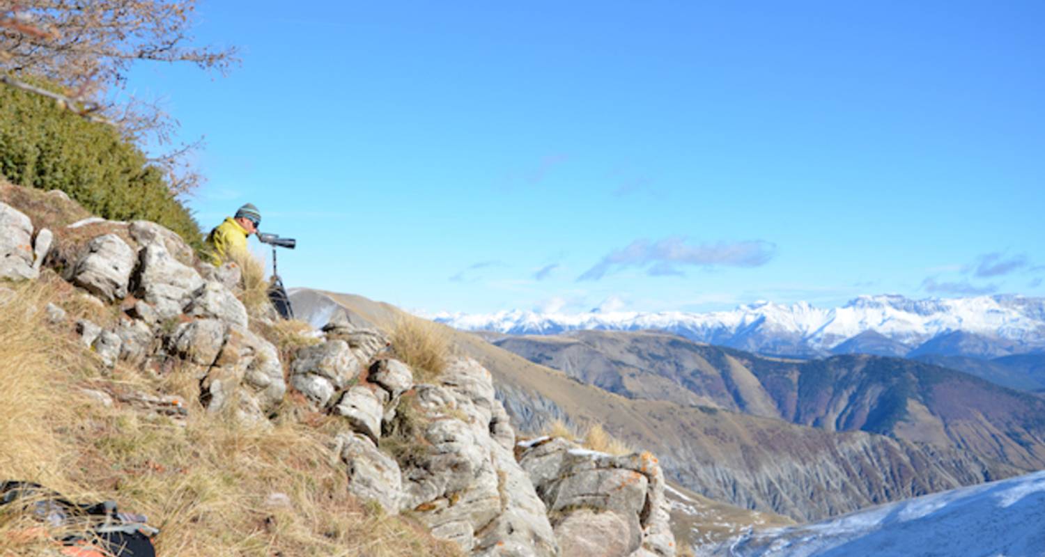 Wolf Tracking in the Alps - Undiscovered Mountains