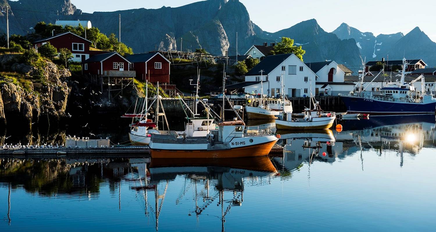 Tromsø et Lofoten par terre et par mer - V.O.S – Vision of Scandinavia