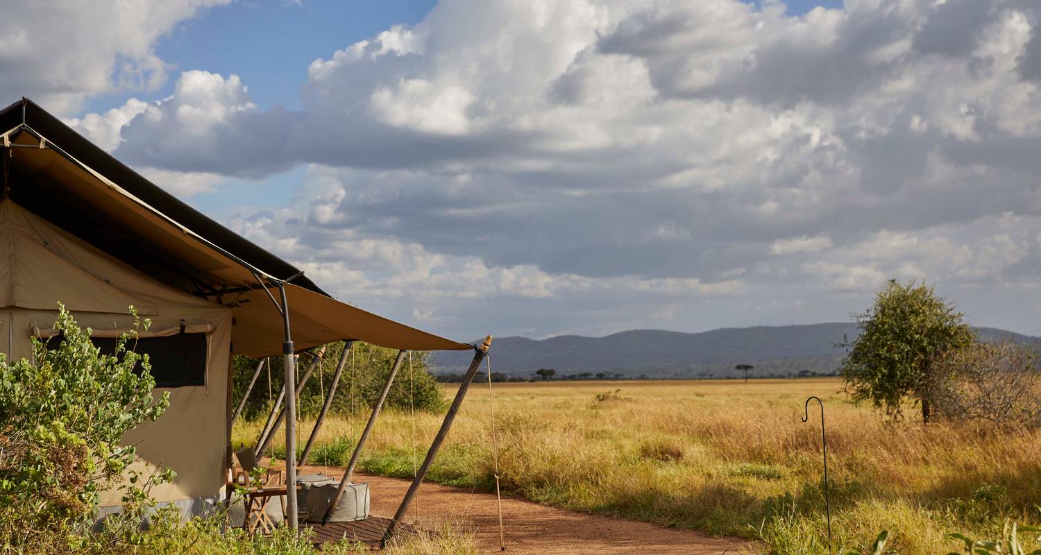 Exklusives Tansania Abenteuer - Professional Safari Africa