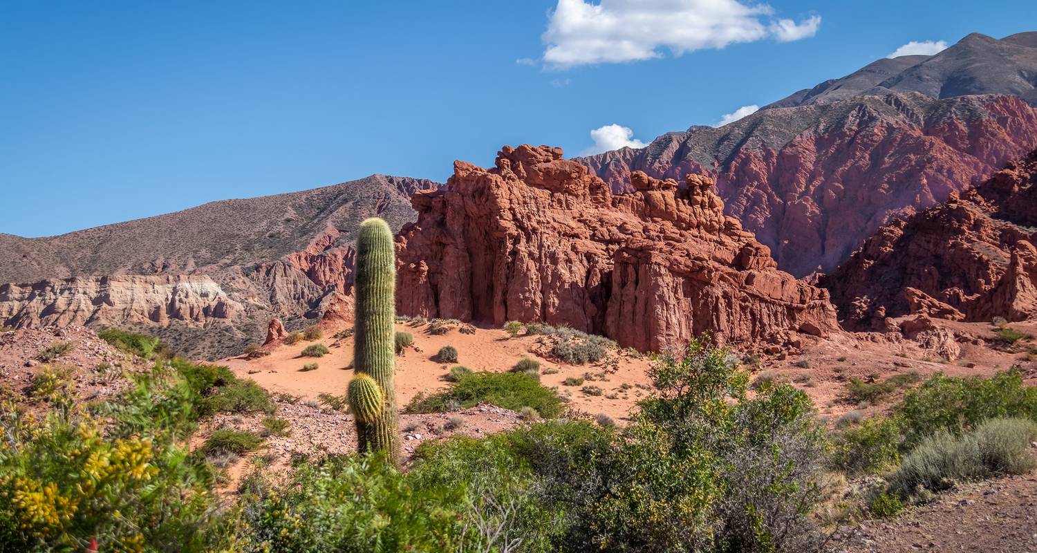 10 Tage Entdeckungsreise durch Argentinien: Buenos Aires, Iguazú & Salta. - Signature Tours