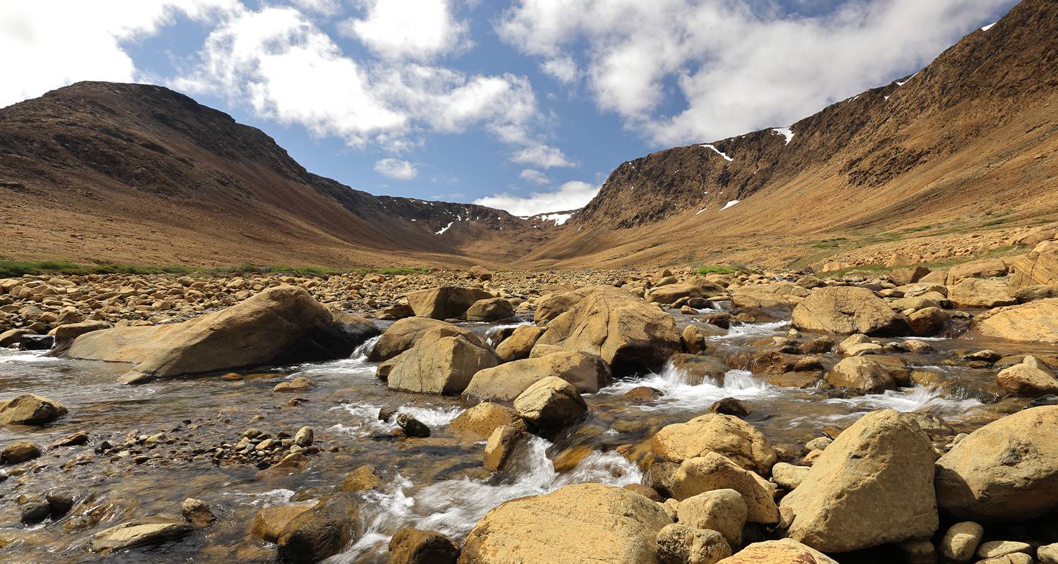 Newfoundland Viking Trail From Corner Brook (Small Group) - 7 days - On The Go Tours