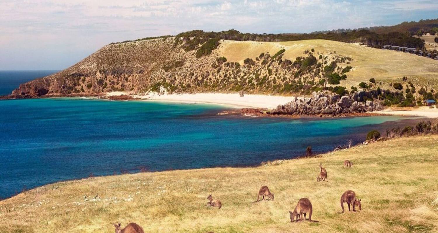 3 DAGEN AVONTUUR IN KANGAROO ISLAND: EEN VERBORGEN PARADIJS - Receptivo Aborigen Tours